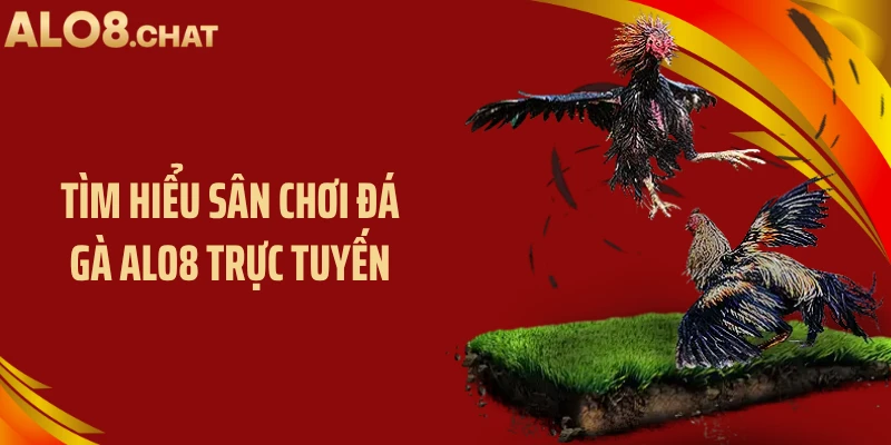 Tìm hiểu sân chơi đá gà ALO8 trực tuyến