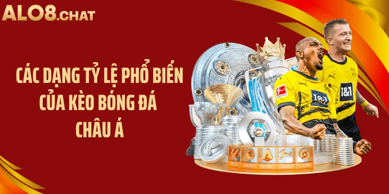 Các dạng tỷ lệ phổ biến của kèo bóng đá châu á