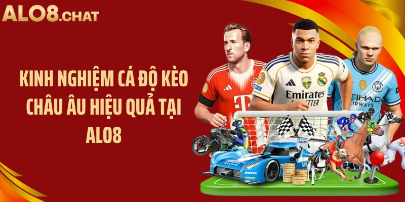 Kinh nghiệm cá độ kèo châu âu hiệu quả tại ALO8