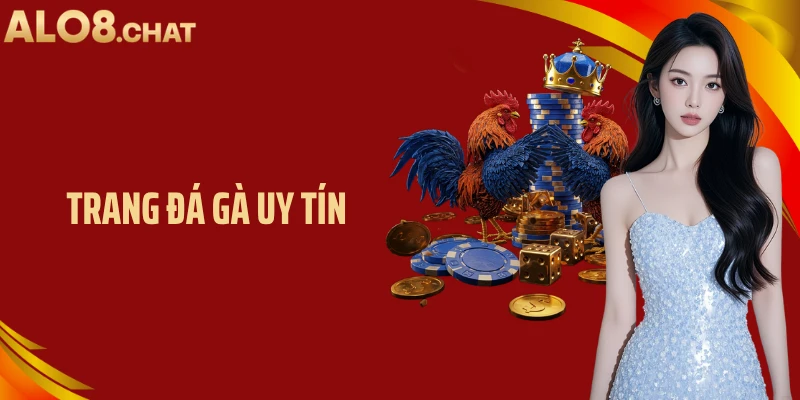 Trang Đá Gà Uy Tín ALO8: Nơi Theo Dõi Trận Đấu Đỉnh Cao